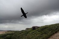 Zwarte vogel in zwarte lucht van Liane Dhyana Pagie thumbnail