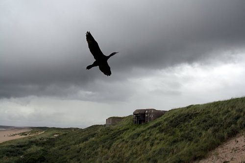 Zwarte vogel in zwarte lucht