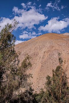Drought in the Elqui Valley by Thomas Riess