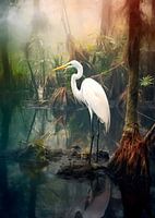 White heron in swamp Florida