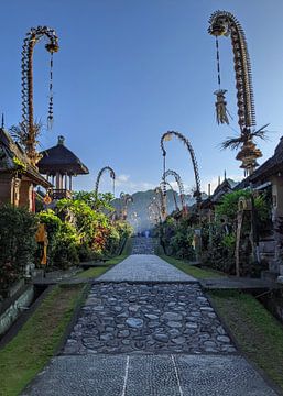 Het paradijs Bali van Papajeka