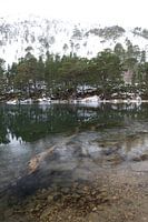 Reflections