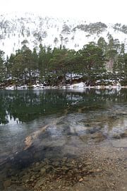 Reflections by Joy of Light Photography