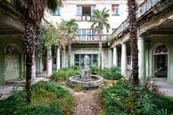 Verlassener Garten mit Palmen. von Roman Robroek – Fotos verlassener Gebäude Miniaturansicht