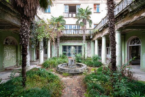 Verlaten Tuin met Palmbomen.