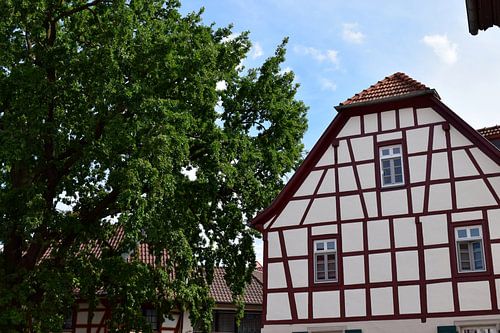 Typisches germanisches / deutsches Fachwerkhaus, Fassade weiß mit Holz, daneben großer alter Baum