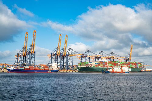 Containerschepen bij de containerterminal in de haven van Rotterdam
