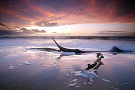 Sonnenuntergang Weststrand von Marko Sarcevic