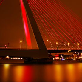 Erasmusbrug Rotterdam van Diana van Geel