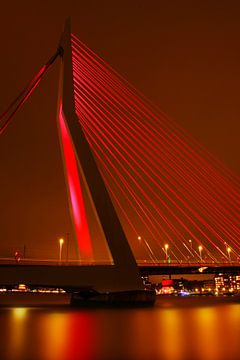 Erasmus-Brücke Rotterdam von Diana van Geel