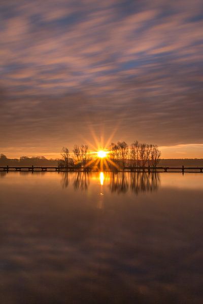 Sunstar 1 by Nuance Beeld