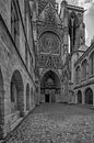 Zicht op de Notre Dame van Peter Bartelings thumbnail