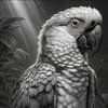 zwart-wit papegaai-kaketoe-ara van Gelissen Artworks