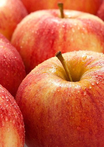 fruit0407