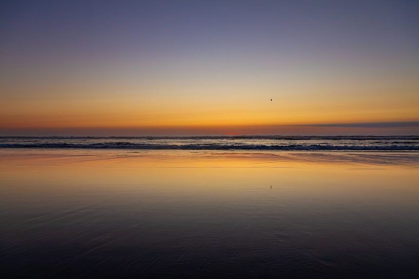 Strand bij zonsondergang van Stefan Swiontek