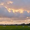 Moutons au coucher du soleil sur Ronald Smits