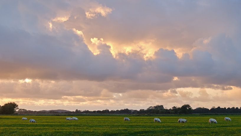 Moutons au coucher du soleil par Ronald Smits