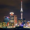 Die Skyline von Auckland von Henk Meijer Photography Miniaturansicht