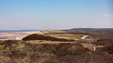 Strand en duinen met wandelaar