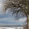 Baum im Winter mit Ausblick in sonnige Winterlandschaft von Martin Flechsig
