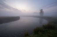 Een mistige ochtend in de polder van Paul Wendels thumbnail