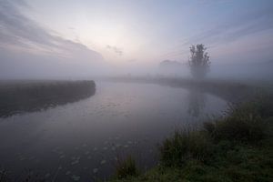 A foggy morning in the polder sur Paul Wendels