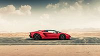 Lamborghini Aventador S Roadster vs. desert roads II van Dennis Wierenga thumbnail