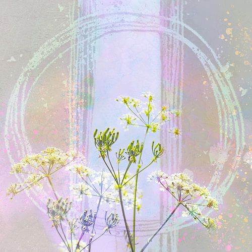 Pastel kleurige lente. Fluitenkruid.