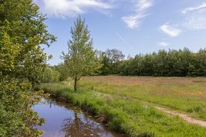 Groningen und Drenthe Veenkoloniën