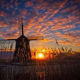 Strijkmolen K en hiver sur Mark Veldman