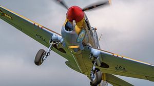 Kampfflugzeug Curtiss P-40 Warhawk.