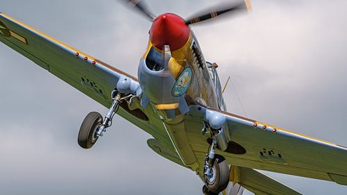 Curtiss P-40 Warhawk warbird.