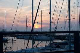 Sonne im Hafen von Beer Foto