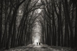 The Thing We Don't Say von Martin Podt