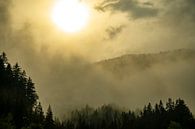Wolken boven het bos in de Alpen van Sjoerd van der Wal Fotografie thumbnail