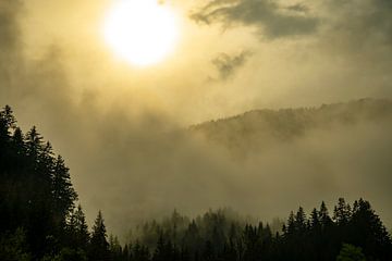 Clouds over the forest in the Alps by Sjoerd van der Wal Photography