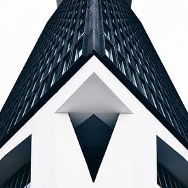 A'dam Toren van Een Wasbeer