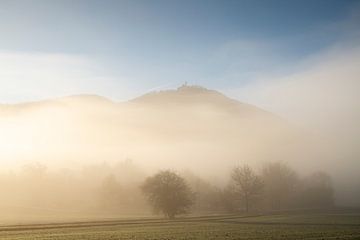 Gentle morning in a sea of fog