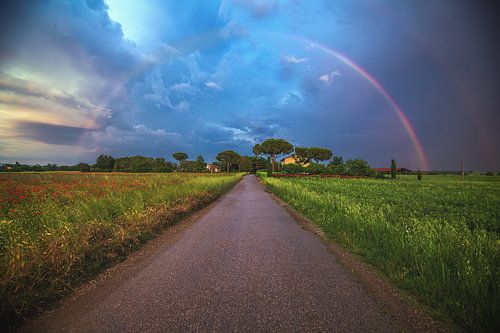 Country lane in Tuscany with estate and rainbow