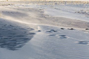 De schoonheid van de duinen van Willy Sybesma