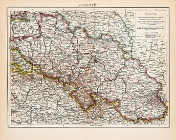 Carte ancienne de la Silésie (Pologne) sur Studio Wunderkammer