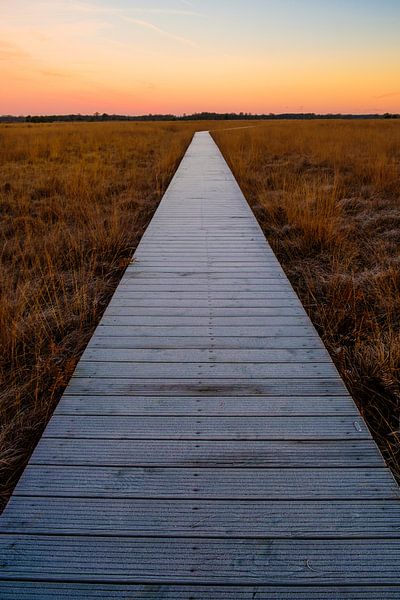 Zonsopkomst van Rene Wolf
