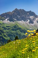 Großer Wilder, Allgäu Alps