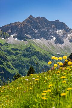 Großer Wilder, Allgäuer Alpen van Walter G. Allgöwer
