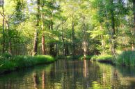 Spreewald 1.1 soft von Ingo Laue Miniaturansicht