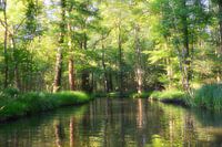 Spreewald 1.1 soft