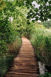 Path to Inner Peace by Daniel Mohn