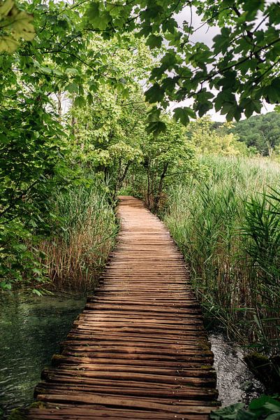 Chemin vers le calme intérieur par Daniel Mohn