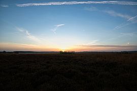 Grabhügel auf der Regte Heide in Brabant von Evelien Huisman