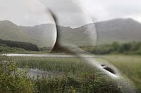 naked in water landscape